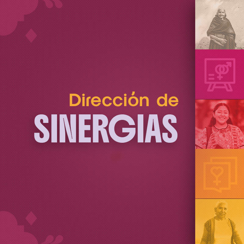Dirección de Sinergias 