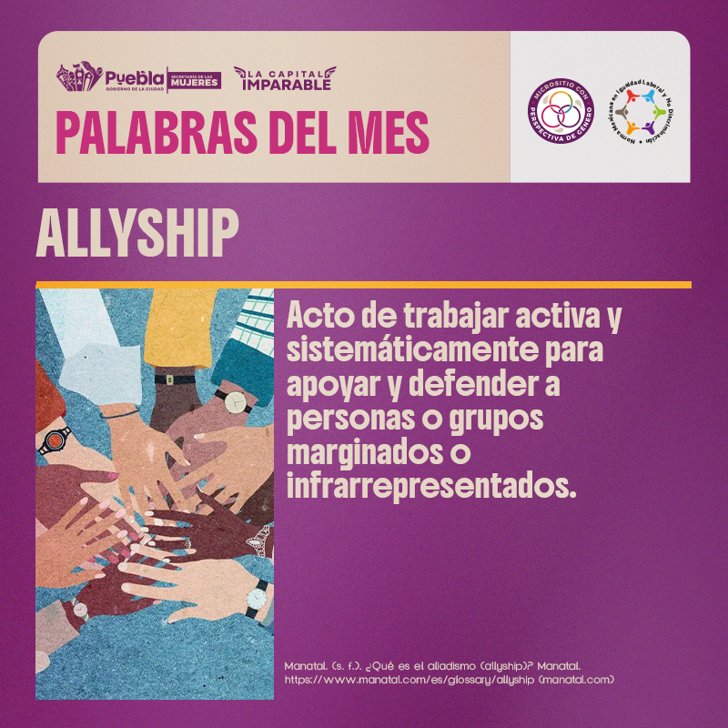 ALLYSHIP