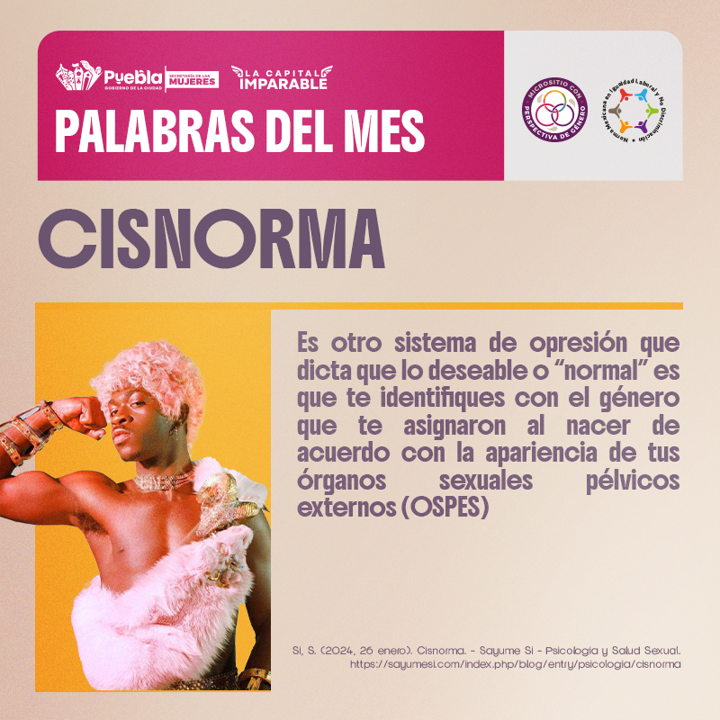 CISNORMA