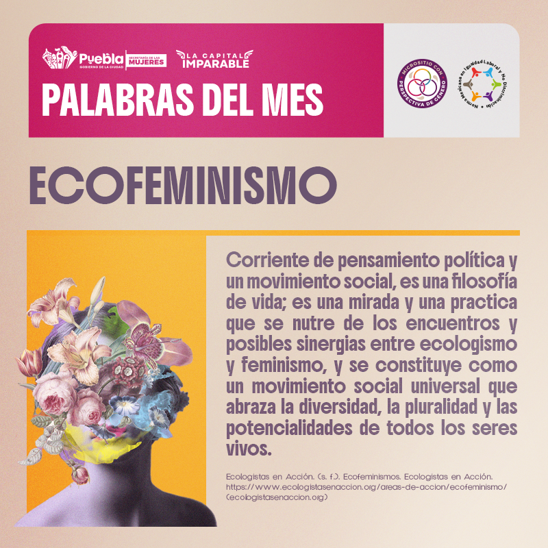 ECOFEMINISMO