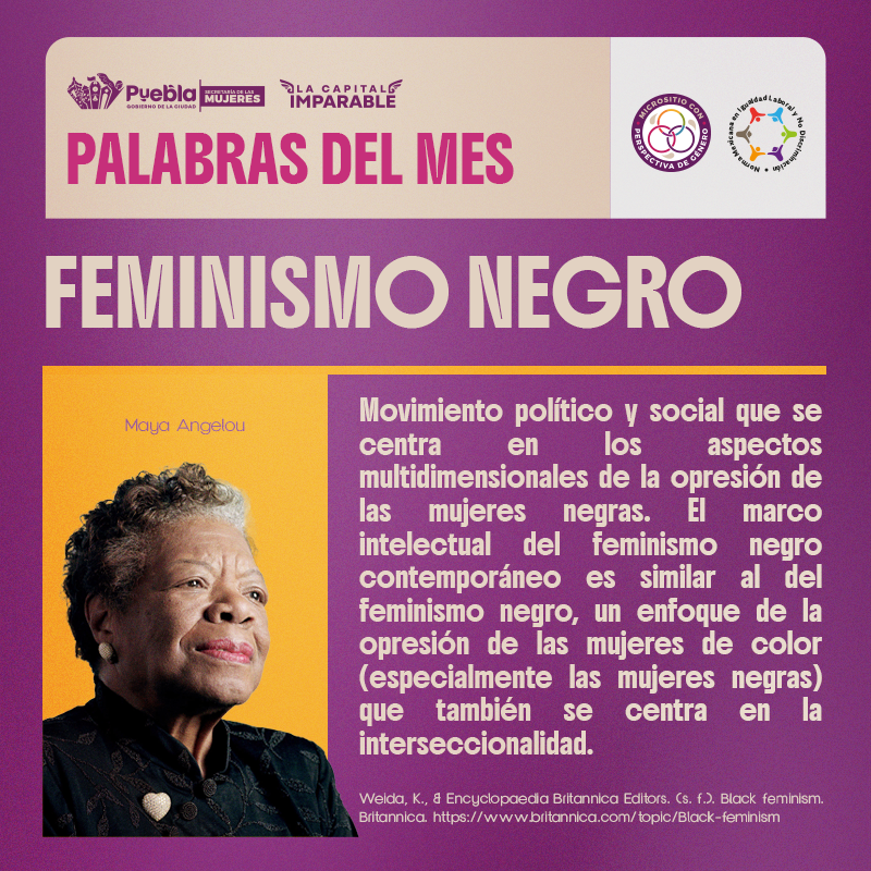 FEMENISMO NEGRO