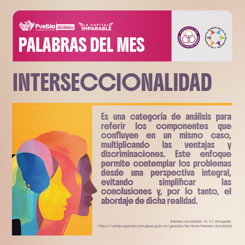 INTERSECCIONALIDAD
