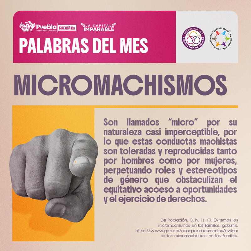 MICROMACHISMOS