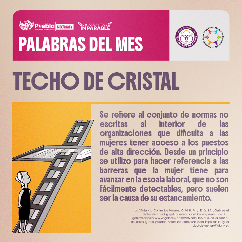 TECHO DE CRISTAL