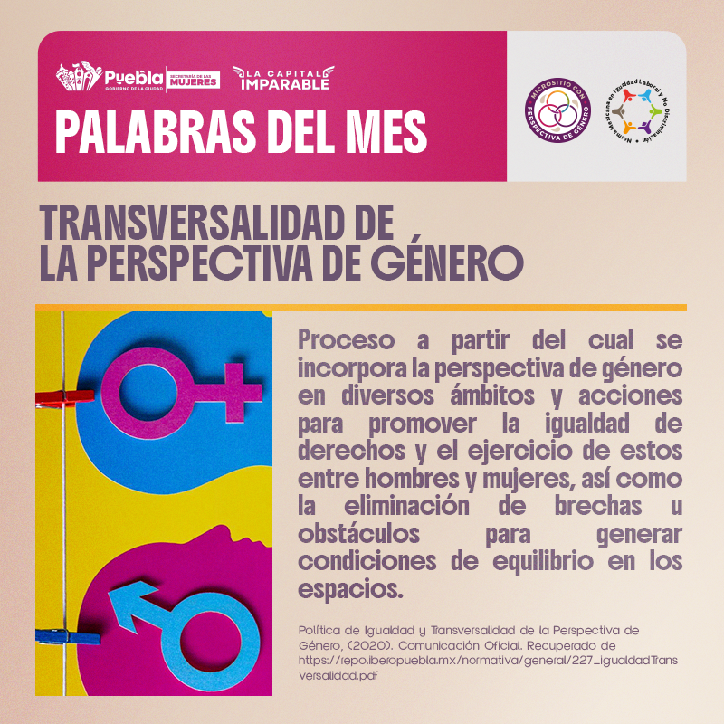 TRANSVERSALIDAD